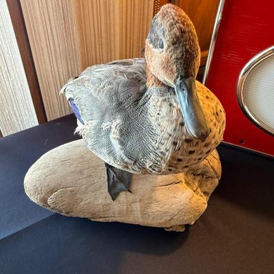 Pair of taxidermy ducks on wood stands