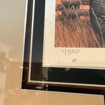 Joanne Graham signed Dog print w/hunting stamps
