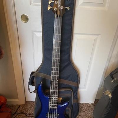 Schecter Guitar