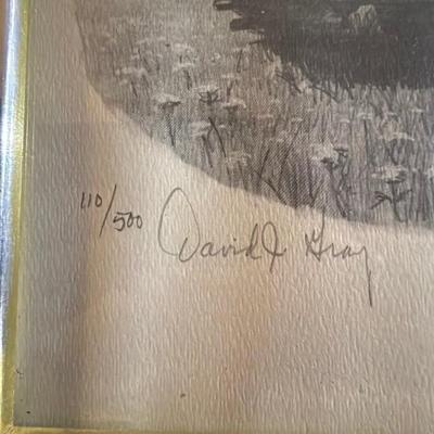 D. Gray Signed Tank Print