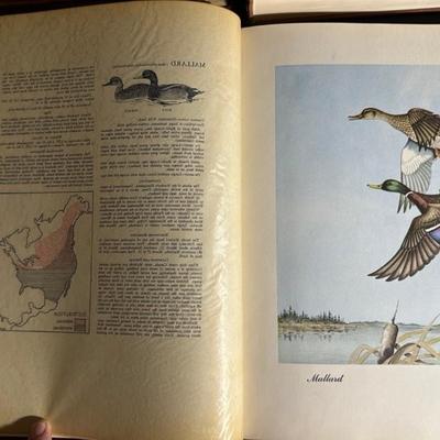 Know Your Ducks and Geese Book