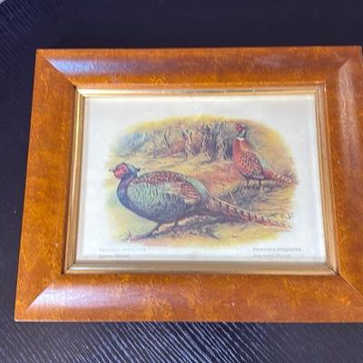 Framed Pheasant Print