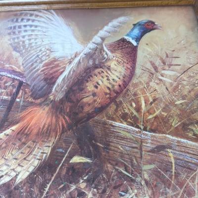 Framed Pheasant Print Artwork