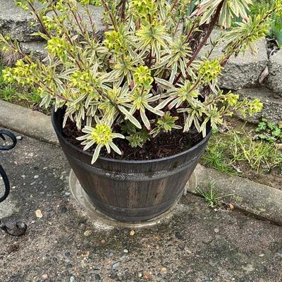 Large Outdoor Decorative Planter