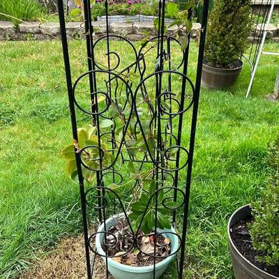 Metal Plant Stand with Trellis