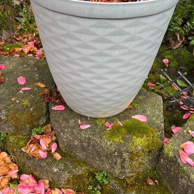 Textured Gray Planter