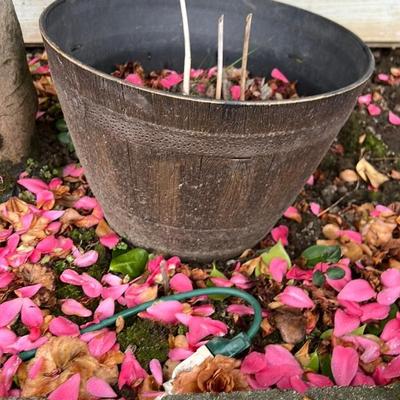 Rustic Wooden Planter