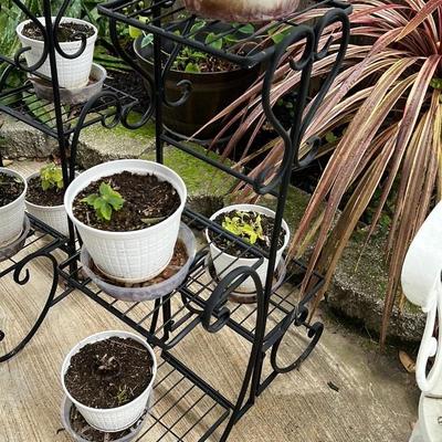 Iron Plant Stand with Pots