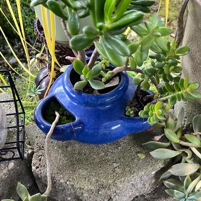 Blue Ceramic Planter with Succulents
