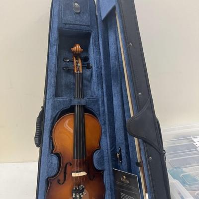 Cecilio Electric Accoustic Violin