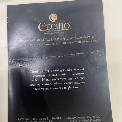 Cecilio Electric Accoustic Violin