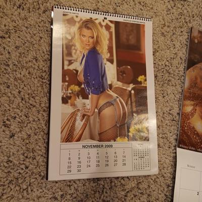 PAST YEARS CALENDARS OF SOME HOT BABES