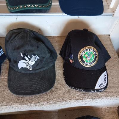 VARIETY OF BALL CAPS (2)