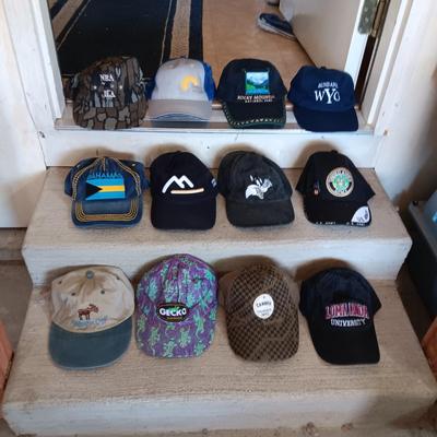 VARIETY OF BALL CAPS (2)