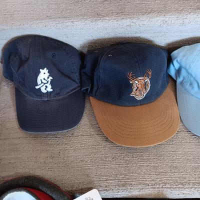 VARIETY OF BALL CAPS (4)