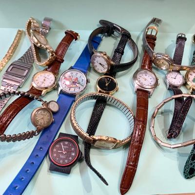 Large Watch Lot