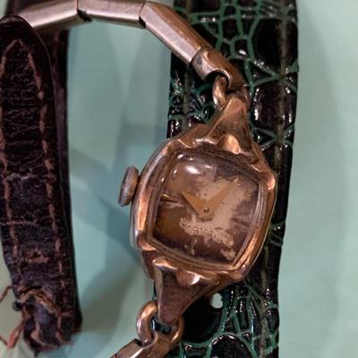 Large Watch Lot
