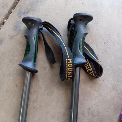 HIKING STICKS, MARCY CARDIO MINI CYCLE, RACQUETBALL AND SHAKE WEIGHT