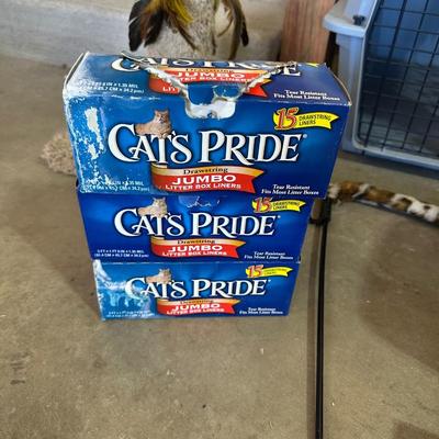 FOR THE CAT(S) IN YOUR LIFE