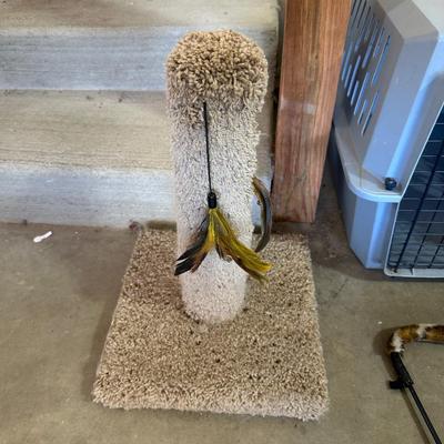 FOR THE CAT(S) IN YOUR LIFE