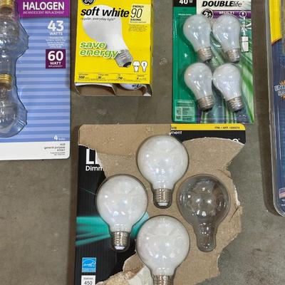 A VARIETY OF LIGHT BULBS