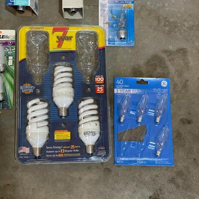 A VARIETY OF LIGHT BULBS