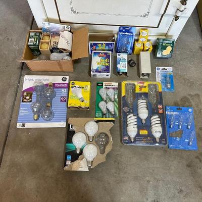A VARIETY OF LIGHT BULBS