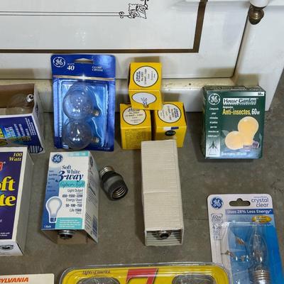 A VARIETY OF LIGHT BULBS