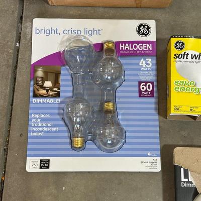 A VARIETY OF LIGHT BULBS