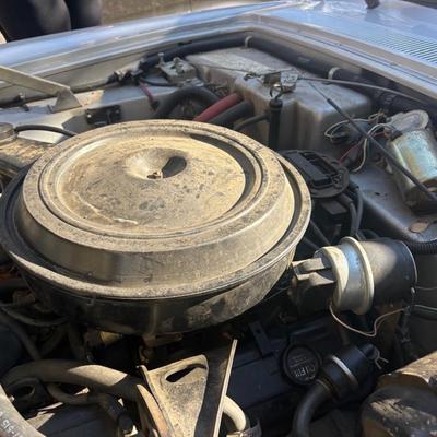1984 Avanti studebaker 2 door car