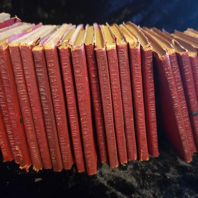Little Leather Library Collection-30 Books (LR-KD)