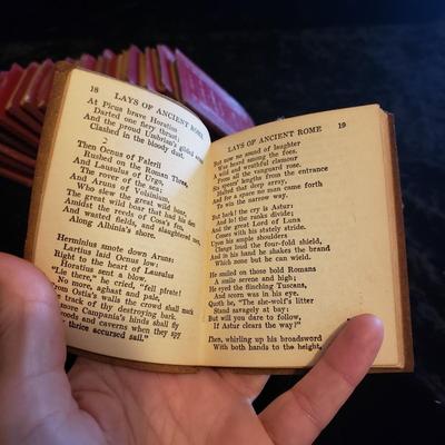 Little Leather Library Collection-30 Books (LR-KD)