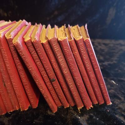 Little Leather Library Collection-30 Books (LR-KD)