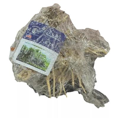 New Aquaglobe Octopus Bonsai Wood Nano Size 6" Fishtank Decor