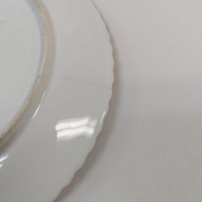Blue Shield Or Bee Hive Mark 19 Century Plates