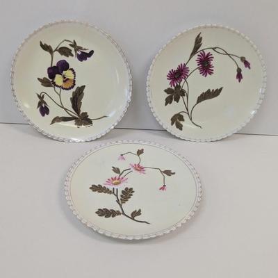 Blue Shield Or Bee Hive Mark 19 Century Plates