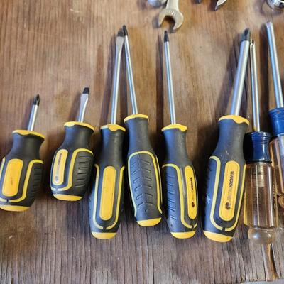 Lot of Tools Craftsman, WorkZone, Screwdrivers, Wrenches SAE Metric