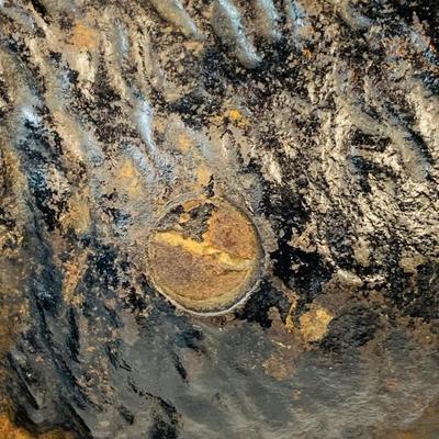 LOT121: Cast Iron Scottie Dog Door Stop