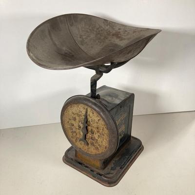 LOT 143: Antique American Family Scale Sees & Faber Philadelphia, PA