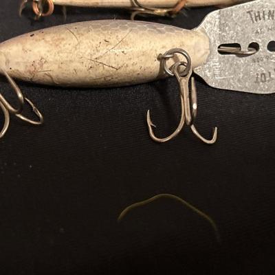 Rapala, Rebel & Thin fin lures