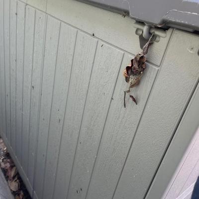 Craftsman Storage Shed (Y-MG)