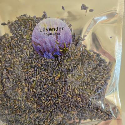 Large Glass Vase and New in the Package Dried Flowers