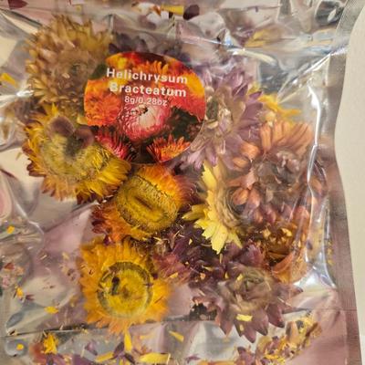 Large Glass Vase and New in the Package Dried Flowers
