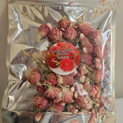 Large Glass Vase and New in the Package Dried Flowers