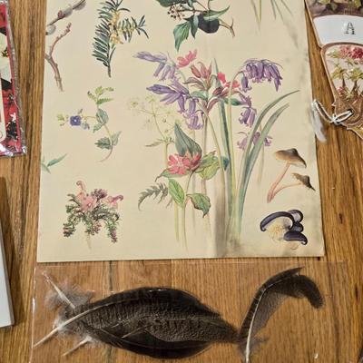Romance Lot - Fans, Book, Notepad, Paper, Feathers