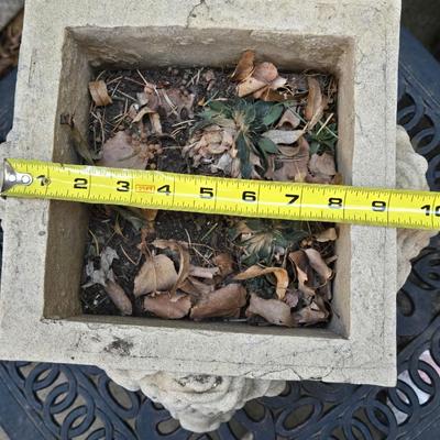 Resin 4 Sided Lion Head Planter