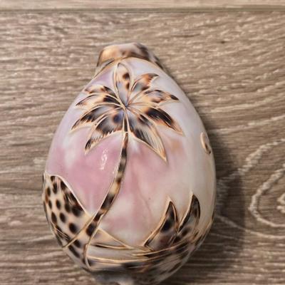 Fancy Shell Lot