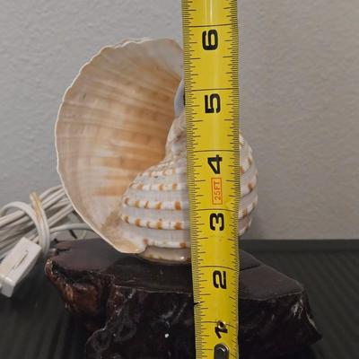 Vintage Shell Night Light