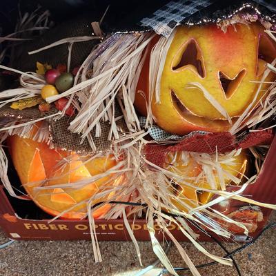 Fall Halloween Decor Lot Fiber Optic