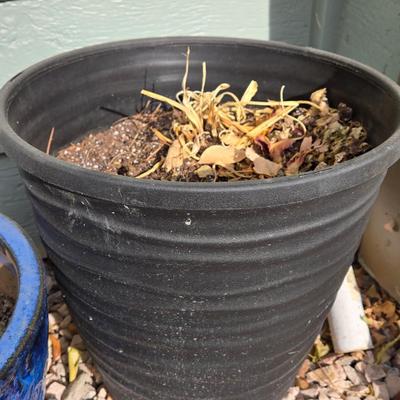 Large Black Plastic Planter